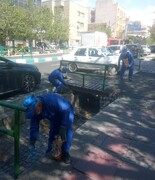 طعمه‌گذاری، انسداد کلونی و لانه‌کوبی در کنار آموزش و اطلاع‌رسانی چهره‌به‌چهره به شهروندان/ گامی مؤثر در حفظ بهداشت و محیط‌زیست