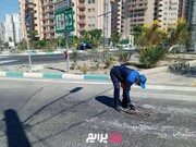 اجرای طرح ضربتی مبارزه با جانوران موذی در شهرک دانشگاه شریف