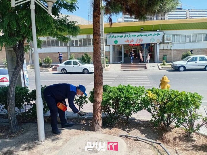 اجرای طرح ضربتی مبارزه با جانوران موذی در شهرک دانشگاه شریف