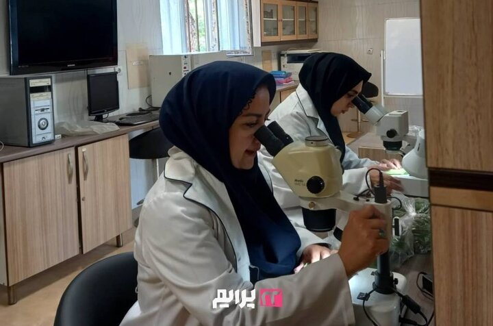 وضعیت سفید بالک در منطقه ۲۲ «پاک» اعلام شد