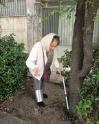 بهار پرکار داوطلبان محیط‌زیست در منطقه ۶؛ از پاکسازی معابر تا آموزش‌های محله‌محور