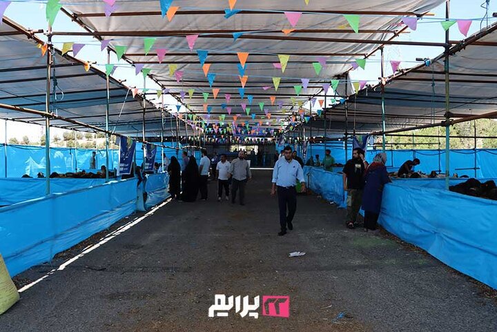 آماده‌سازی جایگاه عرضه و ذبح بهداشتی دام در منطقه ۲۲