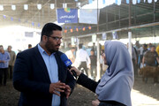 عرضه ۶ هزار راس دام زنده در ۷ مرکز در روزهای عرفه و عید قربان