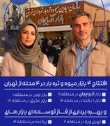 بازار میوه و تره‌بار آذربایجان در منطقه ۱۱ افتتاح می‌شود