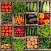 قیمت سبزیجات برگی و غیربرگی اعلام شد