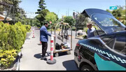 اینجا حالمون خیلی خوب بود ولی دیگه وقتِ برگشت به خونه‌هامونه