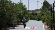 طراحی «کریدور سلامت سبز» در منطقه ۲۲