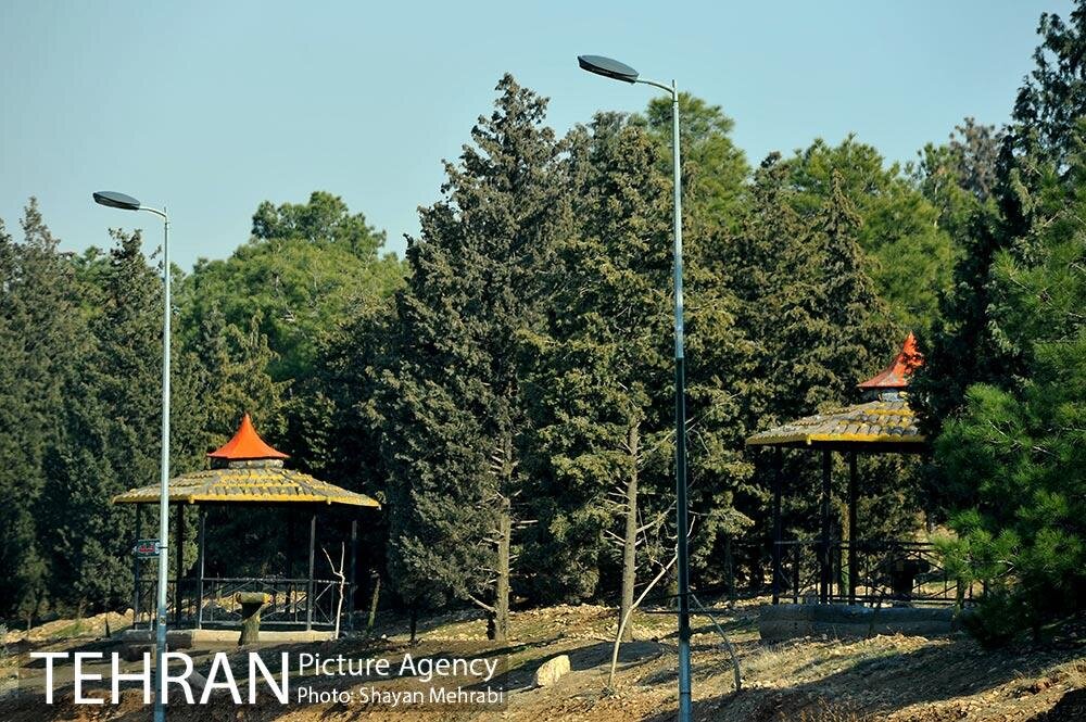 ۸۰ کیلومتر آبرسانی بوستان جنگلی سرخه‌حصار انجام شد