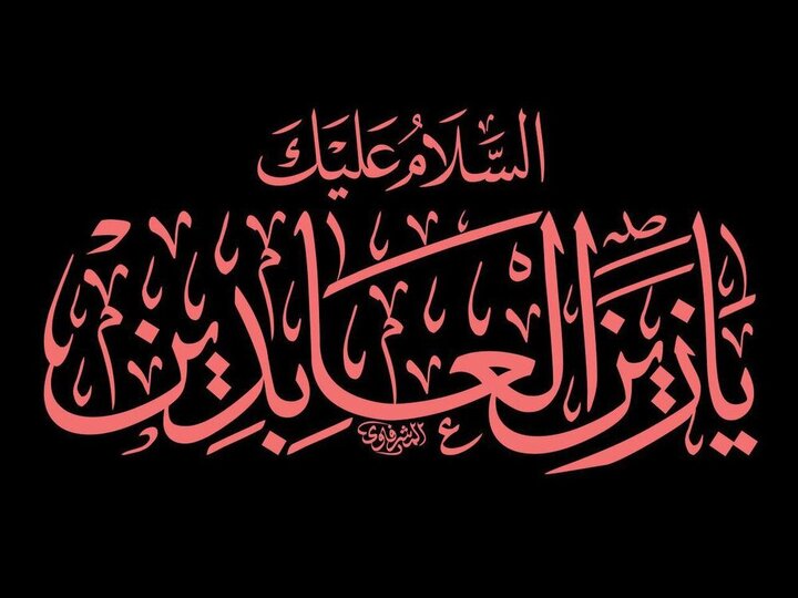 اجرای فاز دوم پویش «خانه‌ها میزبان زائرین»؛ روایت میزبانی مردم منطقه ۱۰ از زائران مراسم وداع و تشییع «رهبر شهید»