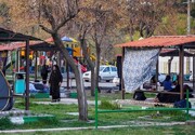 ۶۰ بوستان بزرگ برای استقرار موکب‌ها و زائران در نظر گرفته شده است