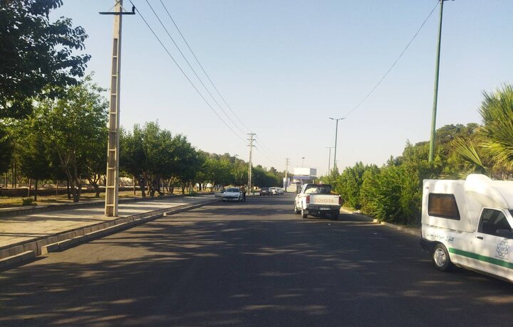 استقرار تیم‌های ساماندهی سگ‌های بلاصاحب در مراکز اسکان و پارکینگ‌های منطقه ۲۲