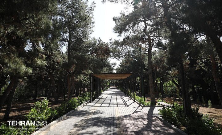 خدمترسانی گسترده شهرداری تهران در مراسم بدرقه امام شهید؛ از اسکان زائران تا مدیریت تردد