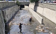 تخلیه رسوبات از مسیل خشایار/ عملیات نگهداشت شبکه آب‌های سطحی در منطقه۴