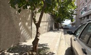 اجرای عملیات نوسازی گسترده معابر و زیرساخت‌های محله بهشتی در منطقه ۲۰