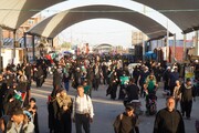 عمود ۸۳۳؛ روایت کار دلی خادمان موکب محبان‌الرضا(ع) در مسیر خدمت به زائران حسینی