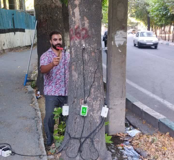 پایش سلامت بیش از ۲ هزار اصله چنار