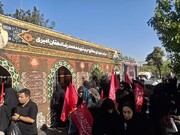 فعالیت موکب فرهنگی و پذیرایی «شهدای مدافع حرم» در مسیر جاماندگان اربعین حسینی