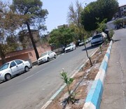 به‌کارگیری سیستم آبیاری قطره‌ای در فضای سبز بلوار اصلی شهرک پیکان‌شهر