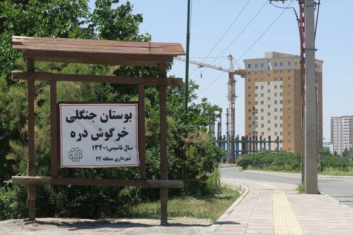 آغاز عملیات تجهیز و بهسازی بوستان جنگلی«خرگوش‌دره»