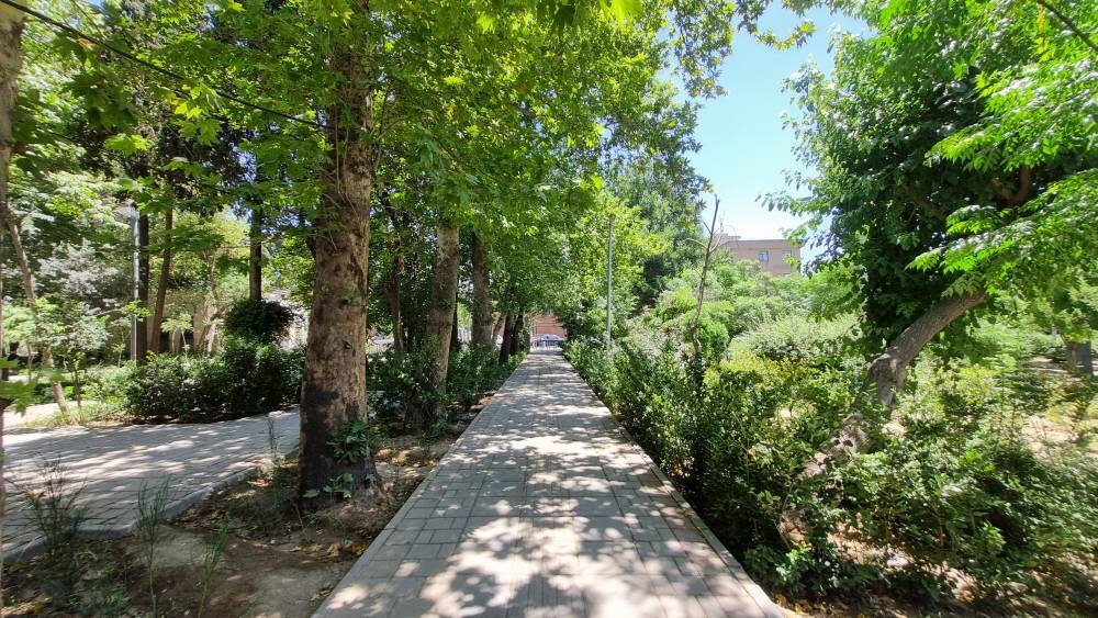 افزایش سرانه فضای سبز منطقه ۱۰ از ۲.۳ به ۳.۲ مترمربع/ احداث ۶ بوستان جدید و حفظ باغ‌های منطقه