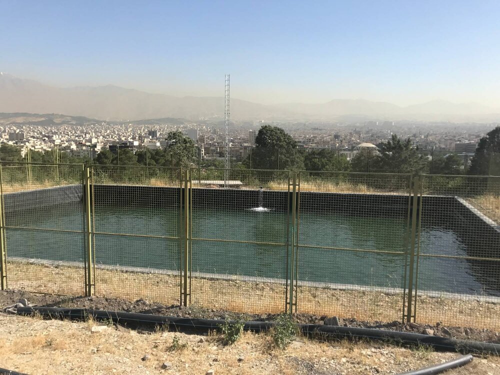 توسعه نیروگاه خورشیدی بوستان جنگلی سرخه‌حصار به ۱۵۵ کیلووات