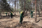 مقابله با اثرات گرمای تابستان/ اجرای طرح آبیاری کمکی و بازپیرایی در بوستان جنگلی خرگوش‌دره