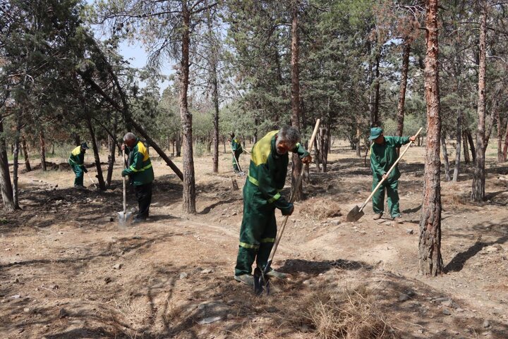 مقابله با اثرات گرمای تابستان/ اجرای طرح آبیاری کمکی و بازپیرایی در بوستان جنگلی خرگوش‌دره
