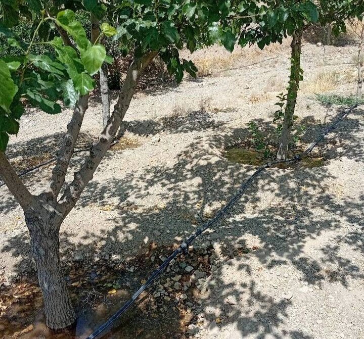 گذار به سوی آبیاری هوشمند در ارتفاعات شمال‌غرب تهران/ اجرای سیستم آبیاری قطره‌ای در بوستان ایثار