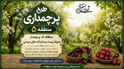 طرح پرچمداری منطقه ۵ با عنوان محیط زیست و باغ‌شهرها