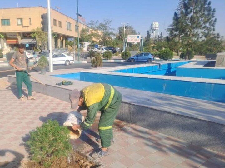 توسعه و نوسازی فضای سبز میدان لاله با کاشت گونه سازگار «کاج مشهد»
