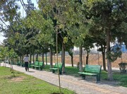 تجهیز بوستان سرو در محله سروآزاد