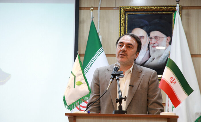 پیرهادی: خانه‌های محیط زیست باید به کانون مشارکت مردم و نخبگان محلی تبدیل شوند