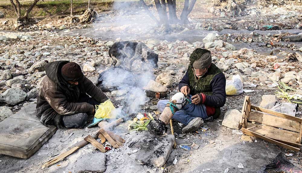 بازگشت طبیعت به شمال‌غرب تهران
