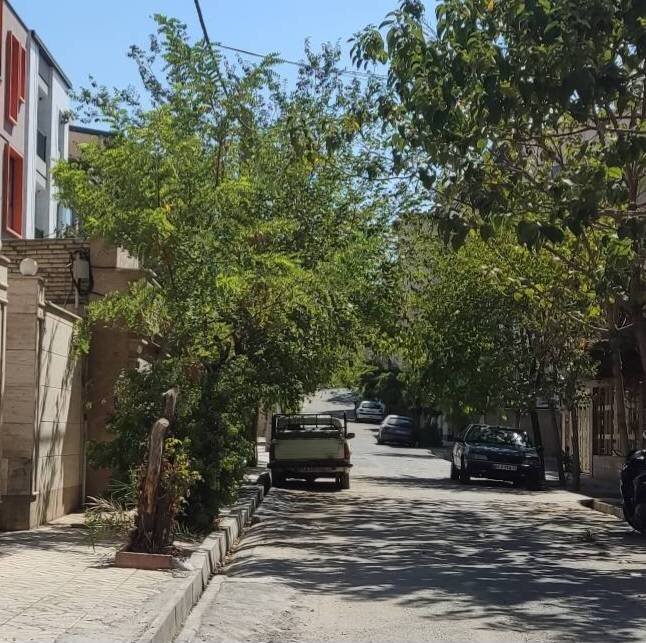 رفع معضل آب‌گرفتگی در معبر نهم غربی شهرک سروآزاد