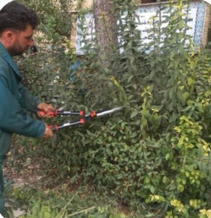 فضای سبز مدارس منطقه ۳ برای آغاز مهرماه ساماندهی شدند