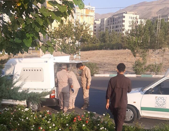 ساماندهی سگ‌های بلاصاحب در منطقه ۲۲