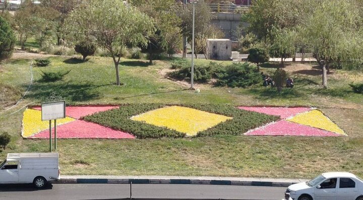 ۱۵۰۰ گلدان گل داوودی در رمپ امام علی(ع) کاشته شد