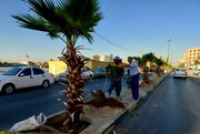 چهره بلوار خلیج فارس در جنوب شهر تغییر کرد