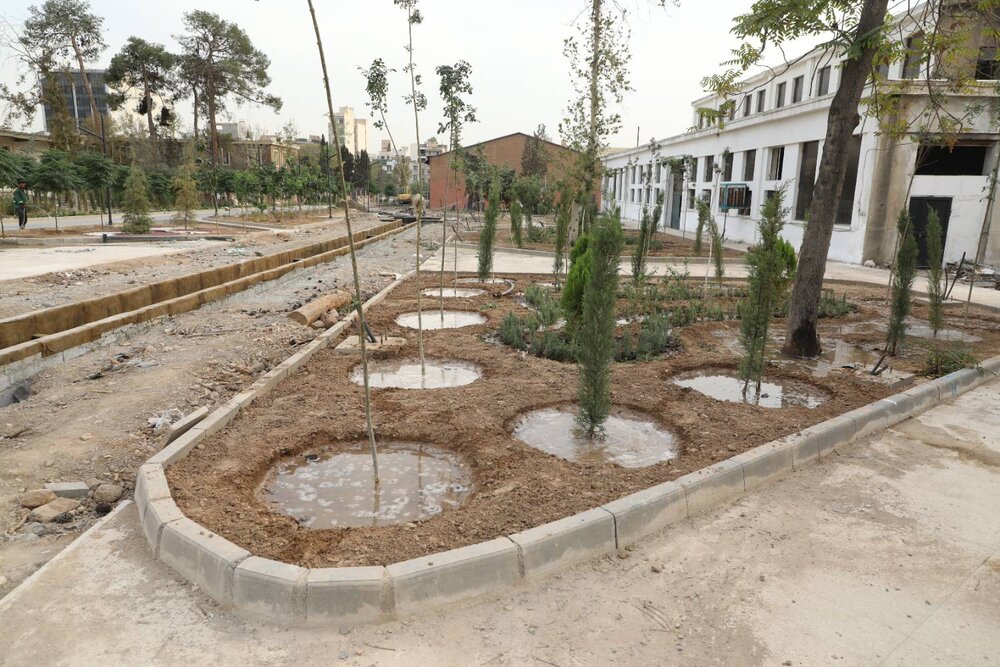 مسیر ۲ کیلومتری دوچرخه‌سواری در بوستان علم و فناوری تکمیل می‌شود