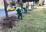 ساماندهی و بهسازی فضای سبز بزرگراه شهید باقری 
