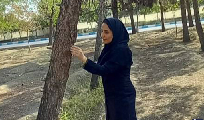 عملیات مقابله با انواع آفات چوبخوار و پوستخوار در بوستان‌های جنوبی شهر