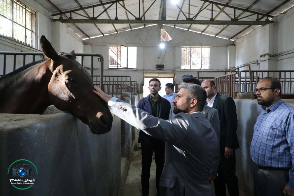 همکاری مشترک برای بهسازی و نوسازی مجموعه چوگان در منطقه۱۳