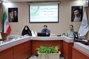 تقدیر از مربیان و فعالان ورزش منطقه ۷ در هفته تربیت بدنی